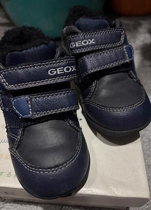 Чобітки утеплені geox