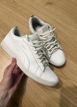Кеди puma білі