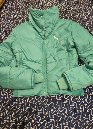 Куртка демі на осінь puma з високим коміром 2