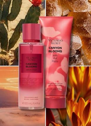 Парфумований лосьйон для тіла victoria’s secret✨  💞canyon blooms