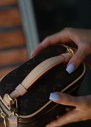 Сумка nice nano vanity case monogram canvas 6