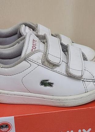 Кеди lacoste