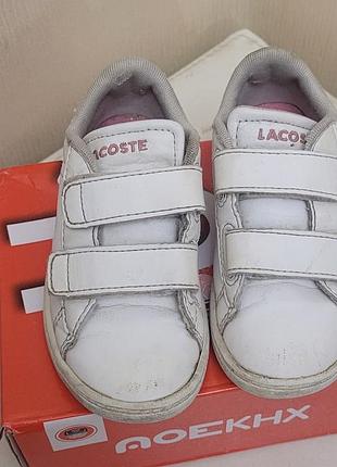 Кеди lacoste 3
