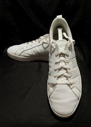 Adidas vs pace 4