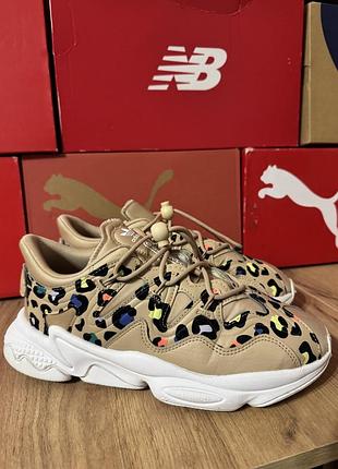 Кросівки adidas ozweego оригінал леопард р. 40