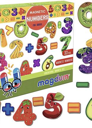 Магніти magdum 2