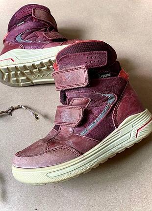 Чоботи зимові дитячі для дівчинки ecco 29 розмір устілка 18 см | gore-tex на липучках бордові на хутрі