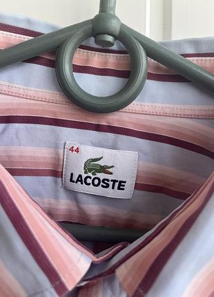 Сорочка lacoste 3