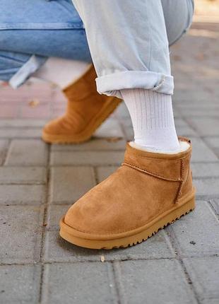 Бежевые угги унисекс ugg classic ultra mini chestnut х угг ультра мини 39