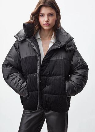 Куртка massimo dutti