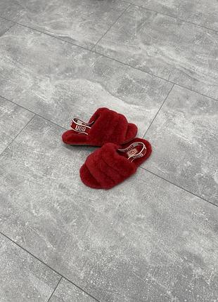 Тапочки ugg 28.5 (17.5 cm) 2