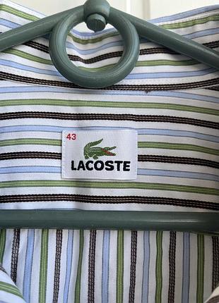 Сорочка lacoste 8