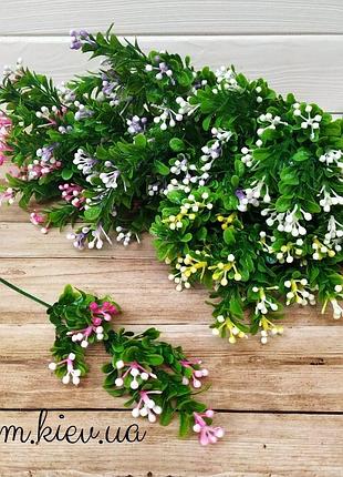 Самшит із кольоровими ягодами в асортименті - білий, гілка