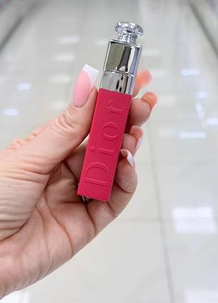 Dior addict lip tattoo - стойкий тинт для губ -761