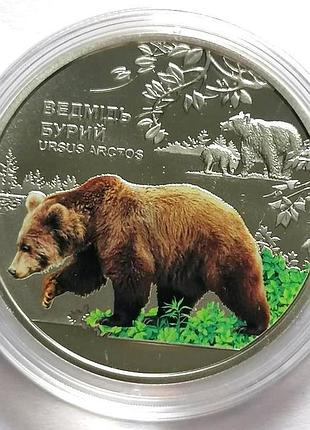 Монета медведь бурый 5 гривен 2022 г.
