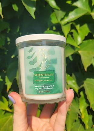 Stress relief свеча eucalyptus + spearmint от bath &amp; body works