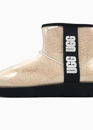 Ugg classic clear mini natural/black | уггі бежеві з чорним хутром | 36–41