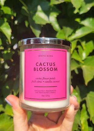 Ароматная свеча cactus blossom от bath &amp; body works