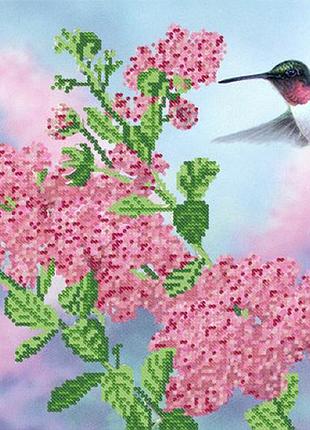 Ркп-592 схема для вишивки бісером колібрі над квіткою.