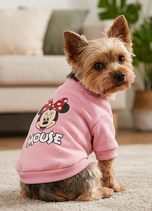 Рожевий світшот для собак з принтом "minnie mouse" (байка на флісі) - розмір m (довжина 29 см)