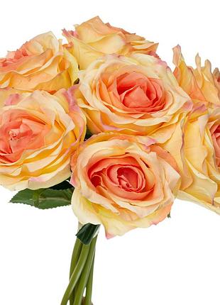Букет роз, кремово - розовый elisey