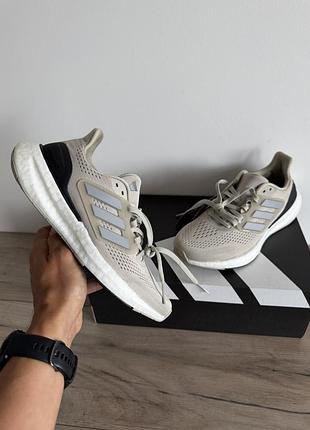 Кросівки adidas pureboost оригінал
