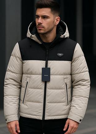Куртка зимняя мужская panda молодёжная | размеры s–xxl | лёгкая тёплая холлофайбер | свободный крой,бежевый,xxl