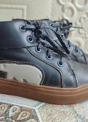 Черевики clarks шкіряні сині