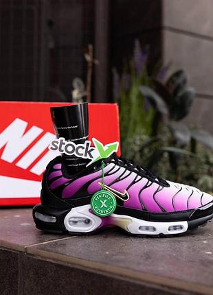 Фиолетовые кроссовки унисекс nike air max plus tn bold berry punk black х эйр макс тн плюс 36