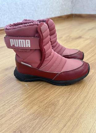 Черевики зимові puma для дівчаток