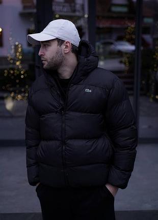 Чоловічий пуховик lacoste