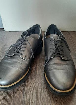 Черевики жіночі clarks шкіряні сірі