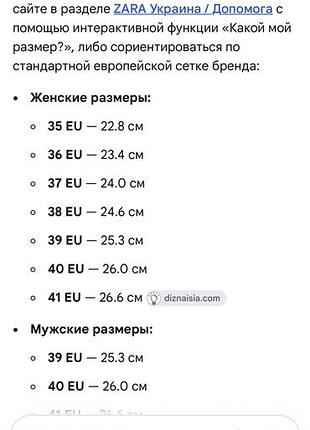 Челси кожаные 10