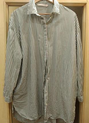 Zara (xl). шикарная рубашка котон в полоску