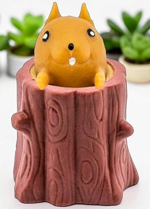 Игрушка антистресс жемкалка выскочка фуфлик белка (сусилка)