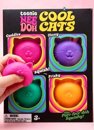 Набор игрушка-антистресс teenie needoh cool cats (schylling)
