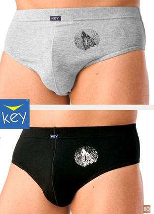 Трусы мужские key mpp-614 брифы классическая модель набор 2 штуки