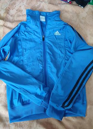 Олімпійка жіноча adidas синя