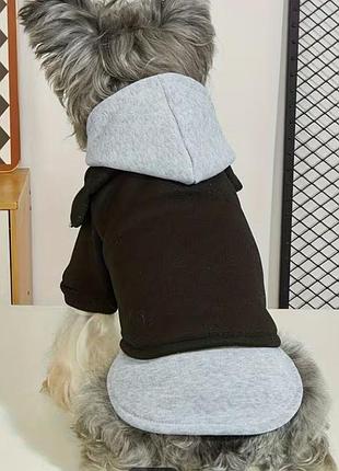 Худи кофта для собак  s 2
