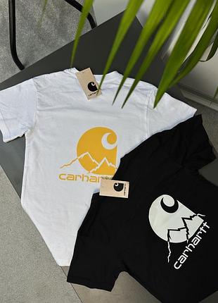 Футболка чоловіча carhartt skies з принтом, біла та чорна