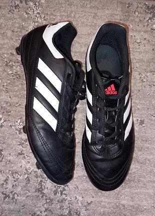 Кросівки чоловічі adidas чорно-білі