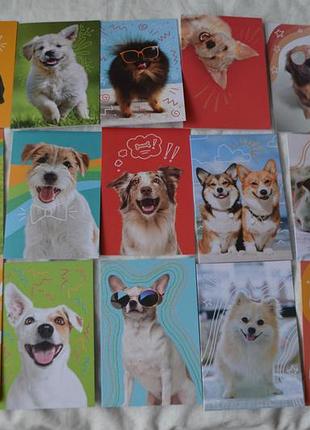 Набор открыток american greetings blank cards and envelopes assortment box