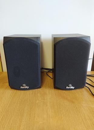 Мультимедийная акустическая система hardity sp-250 2