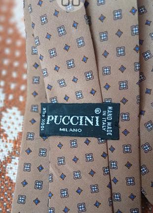 Галстук puccini 2