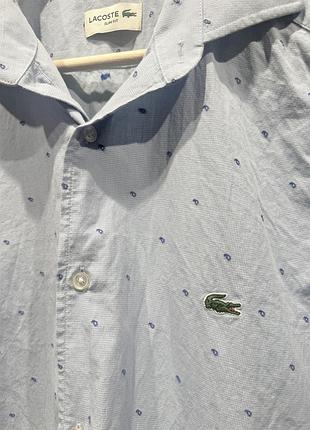 Рубашка lacoste оригинал 4