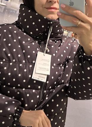 Zara куртка горох 3