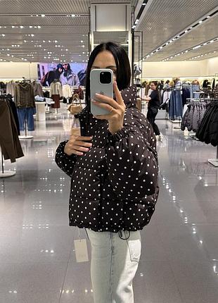 Zara куртка горох 2