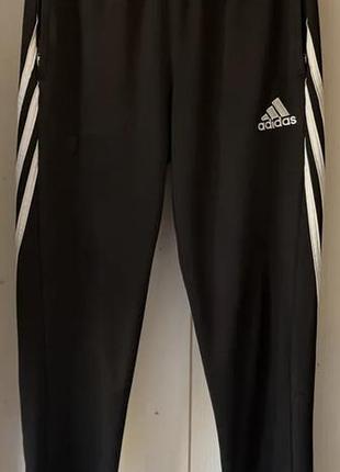 Завужені спортивні штани adidas