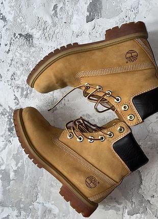 Черевики timberland