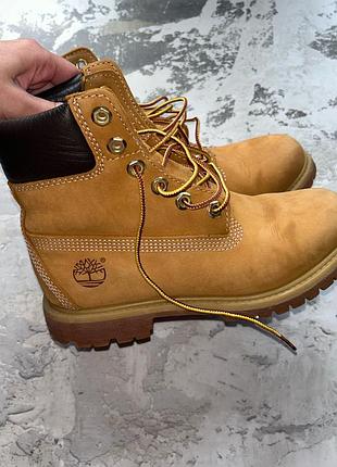 Черевики timberland 2